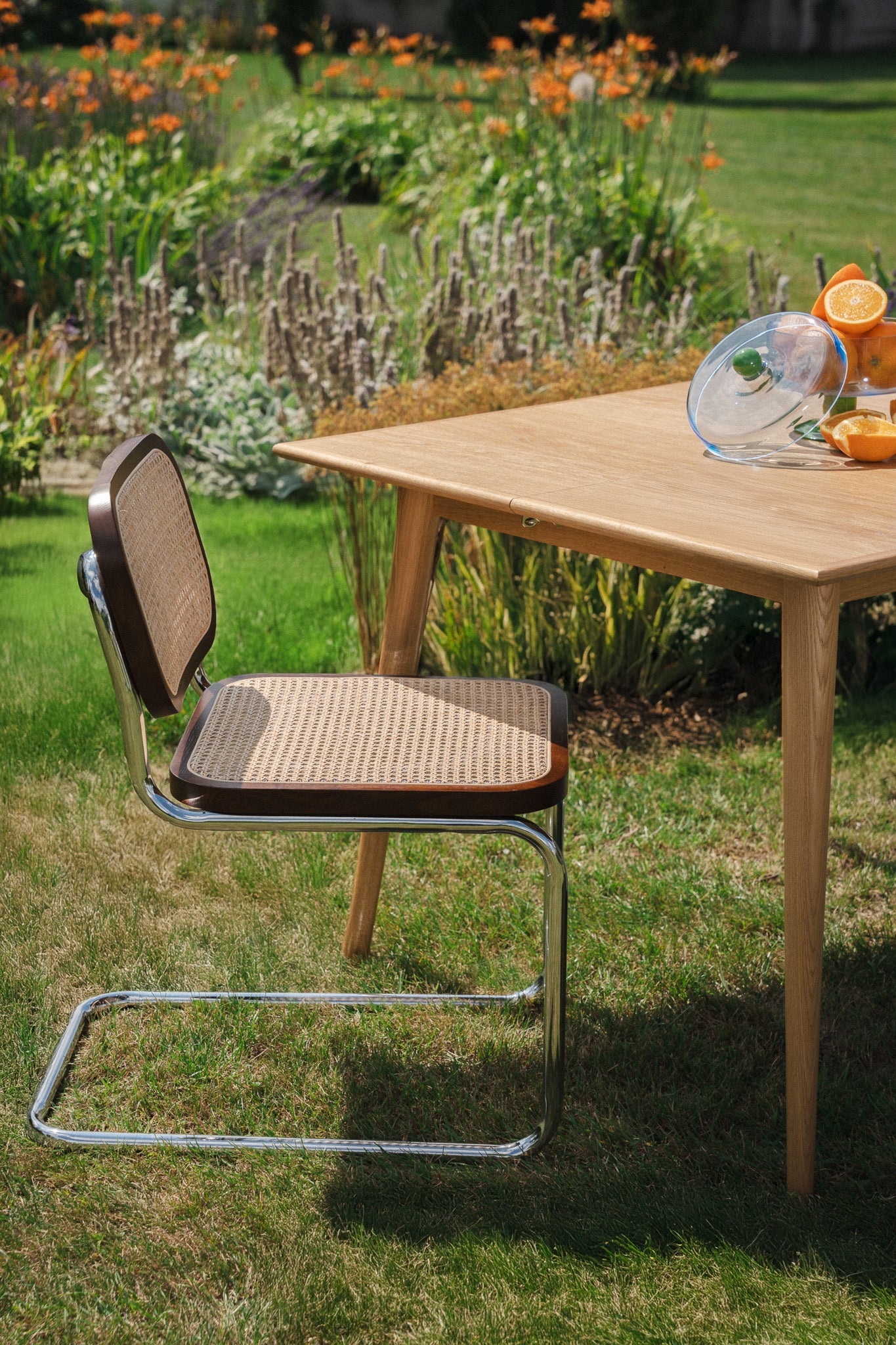 DANI Table