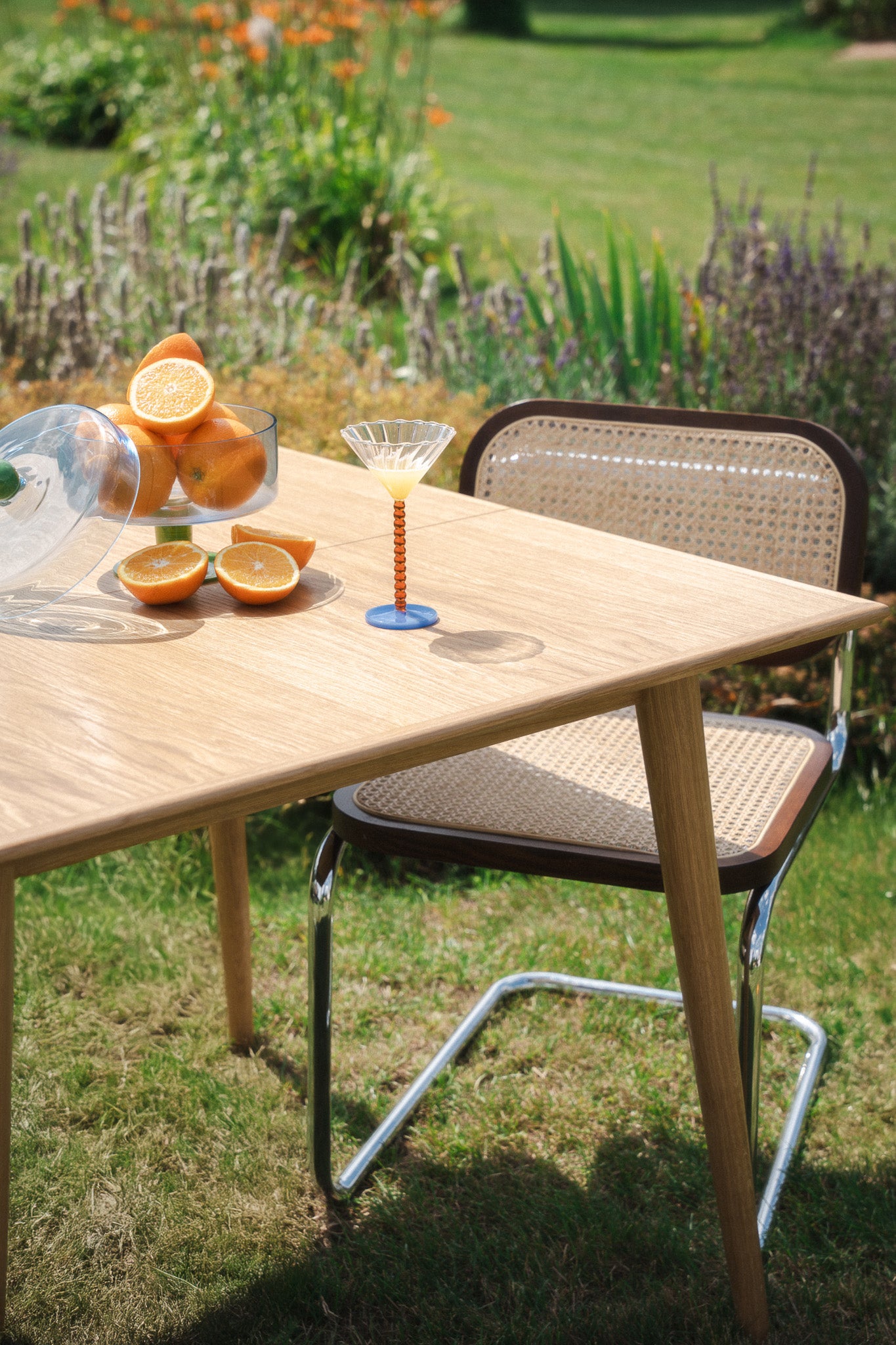 DANI Table